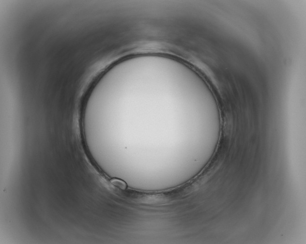 X0000111491464200908041132