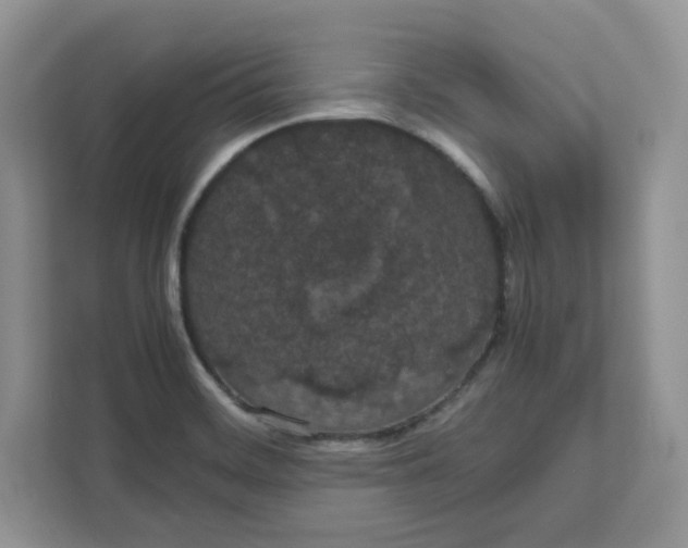 X0000111491468200908041132