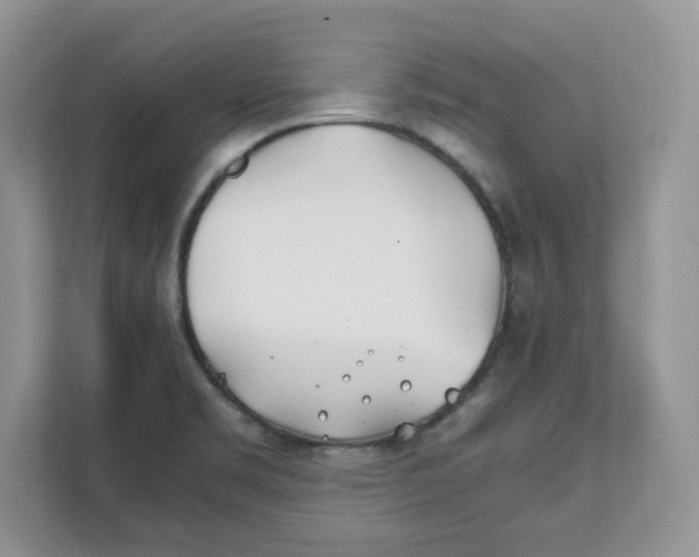 X0000111491469200908041132