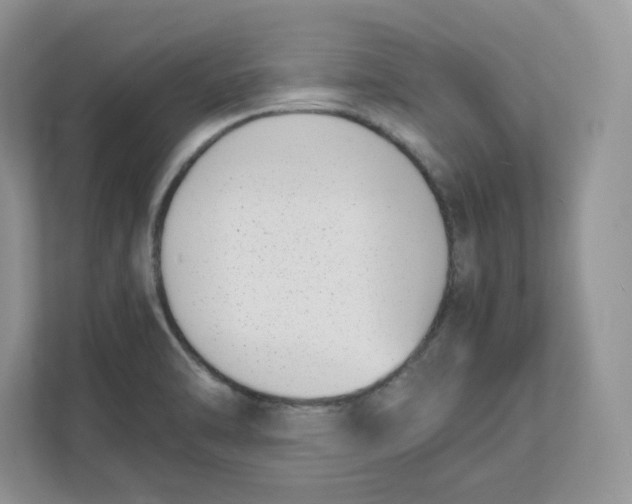 X0000111491470200908041132