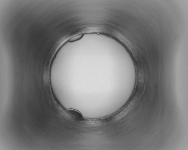 X0000111491473200908041132