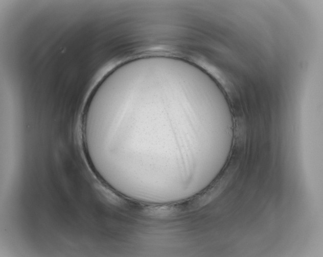 X0000111491474200908041132