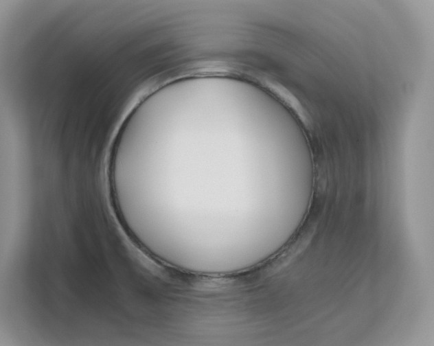 X0000111491475200908041132