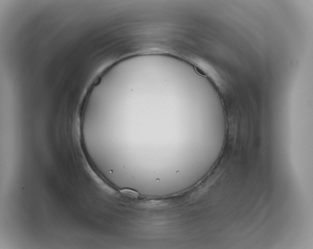 X0000111491476200908041132