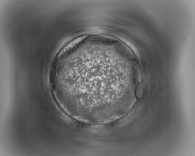 X0000111491477200908041132