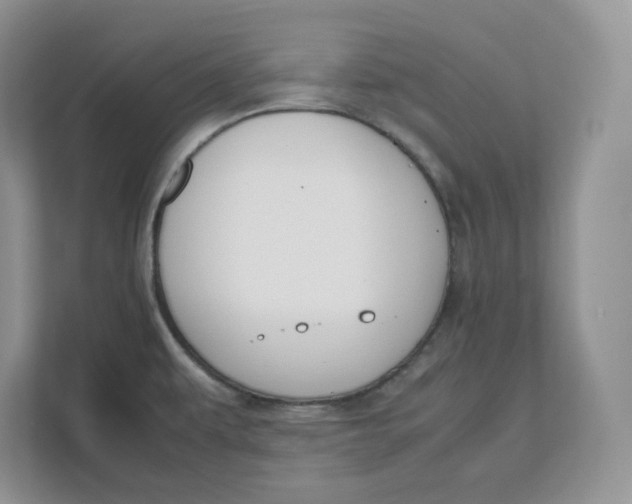 X0000111491479200908041132