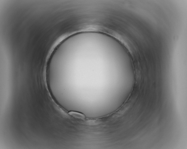 X0000111491480200908041132