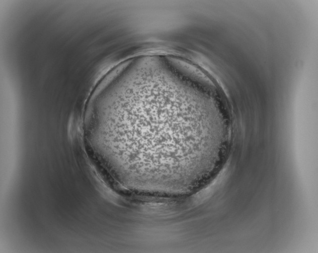 X0000111491481200908041132