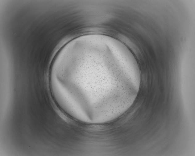 X0000111491482200908041132