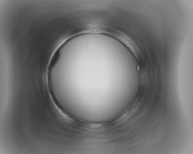 X0000111491484200908041132