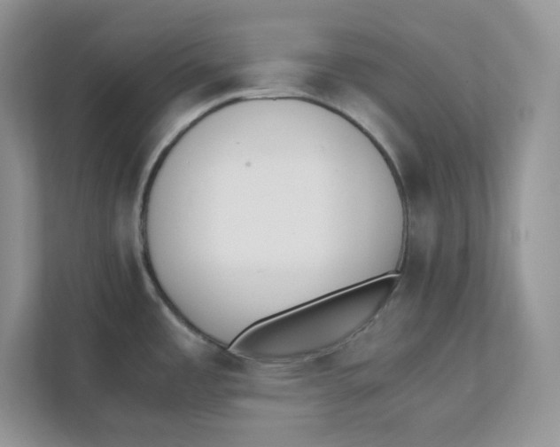 X0000111491485200908041132