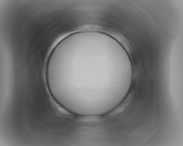 X0000111491486200908041132