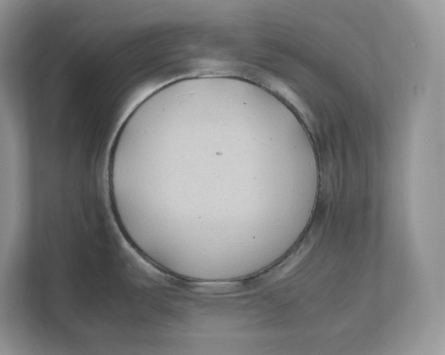 X0000111491487200908041132