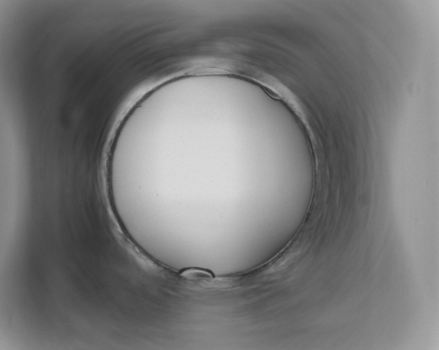 X0000111491488200908041132