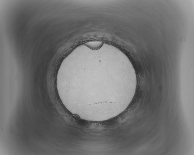 X0000111491489200908041131