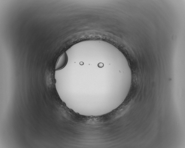 X0000111491490200908041131