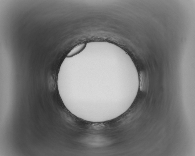 X0000111491491200908041131