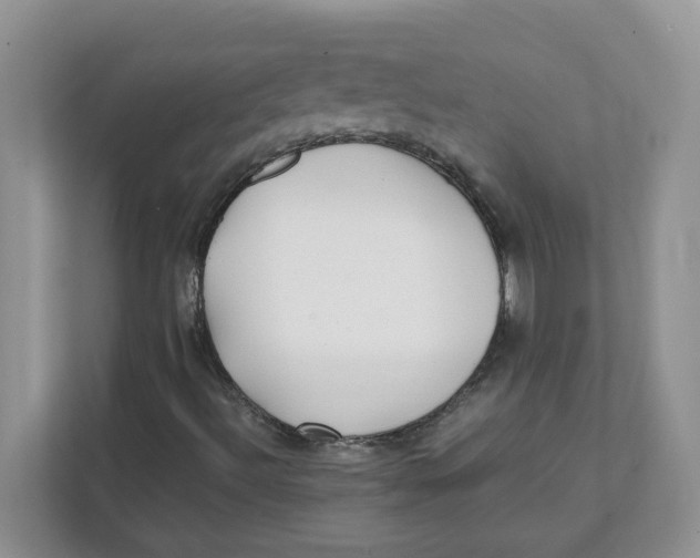 X0000111491492200908041131