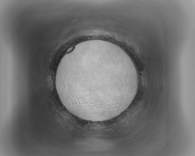 X0000111491493200908041131