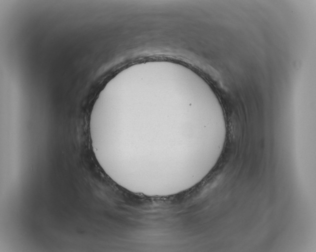 X0000111491494200908041131