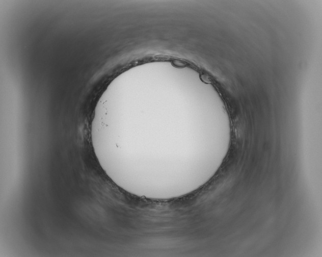 X0000111491495200908041131