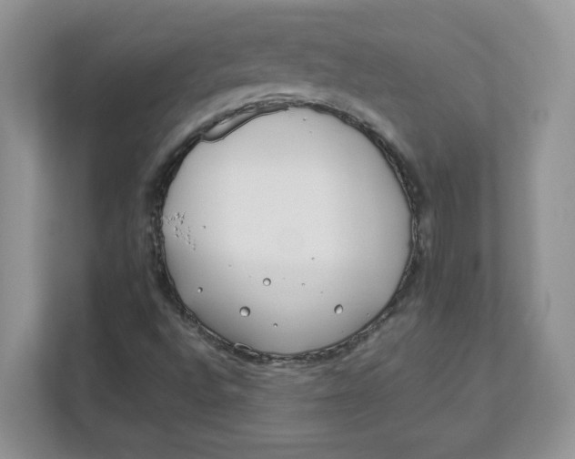 X0000111491496200908041131