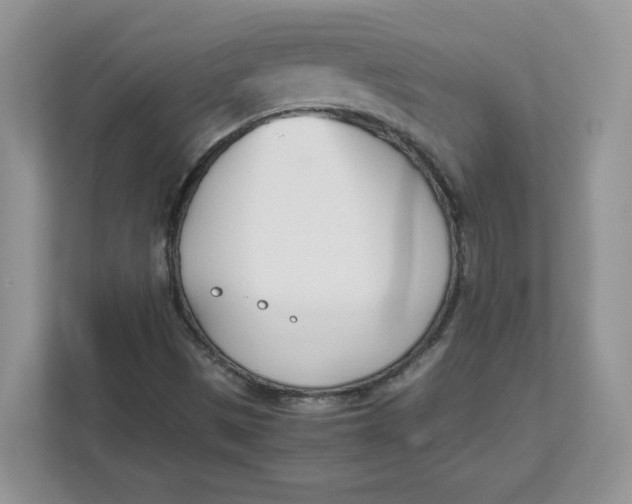 X0000111491497200908041131