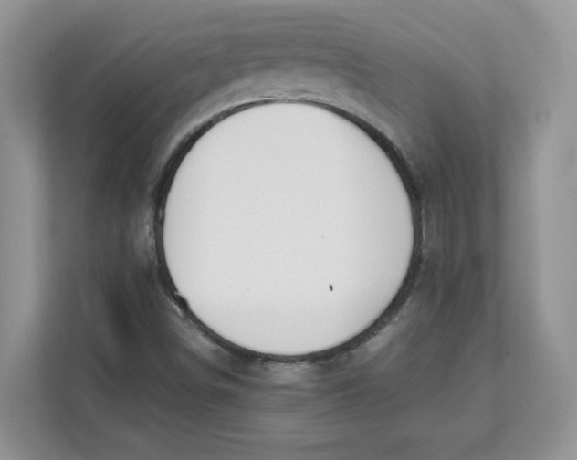 X0000111491498200908041131