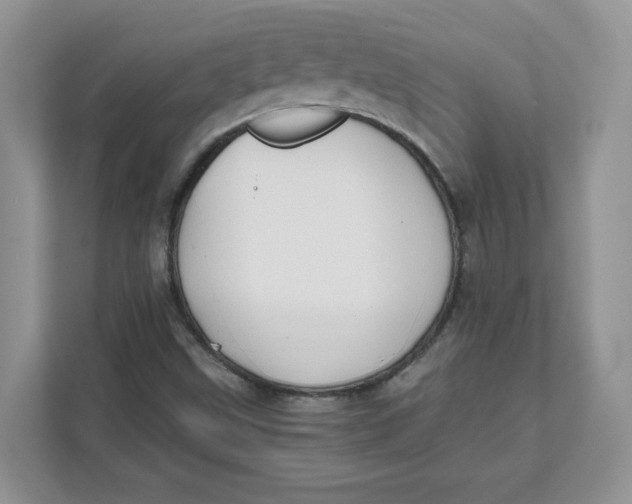 X0000111491499200908041131