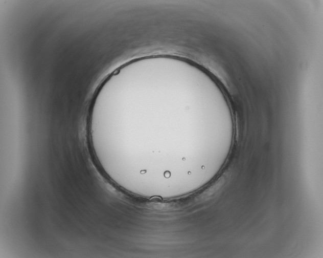 X0000111491500200908041131