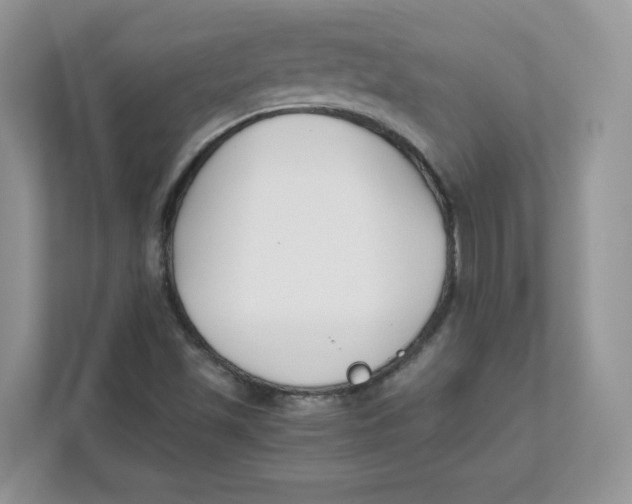 X0000111491501200908041131