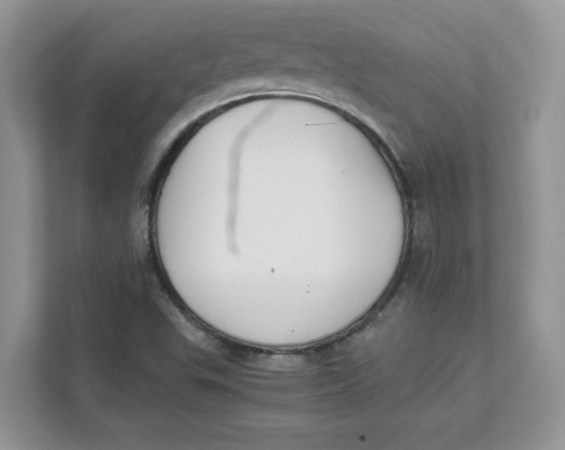 X0000111491503200908041132