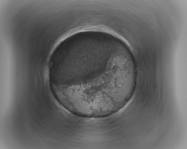 X0000111491506200908041132