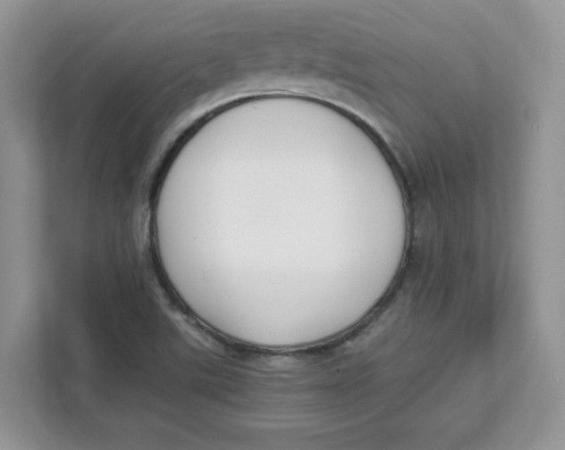 X0000111491507200908041132