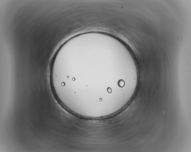 X0000111491508200908041132