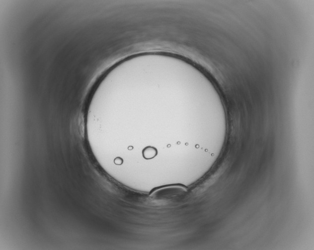 X0000111491509200908041132