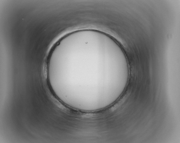 X0000111491510200908041132