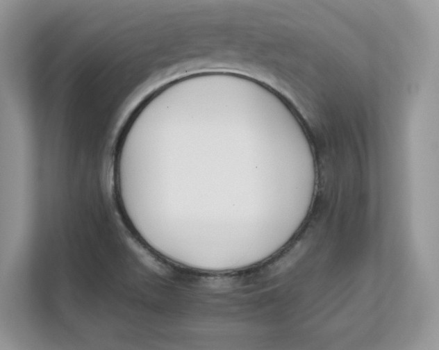 X0000111491511200908041132