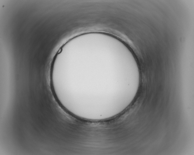 X0000111491512200908041132