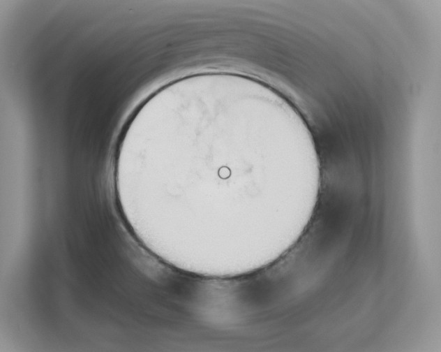 X0000111491514200908041132