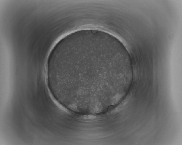 X0000111491515200908041132