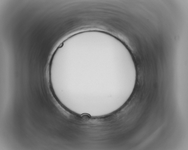 X0000111491516200908041132