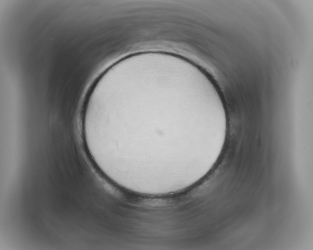 X0000111491517200908041132