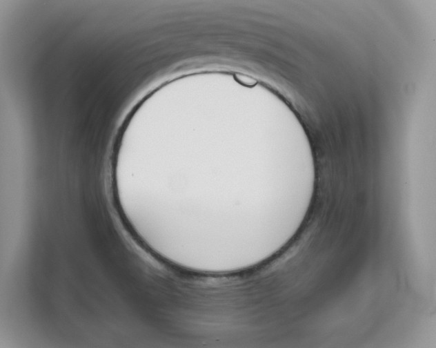 X0000111491518200908041132