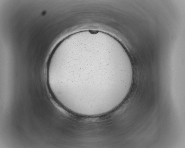 X0000111491519200908041132