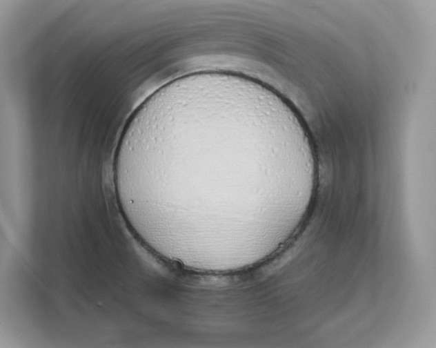 X0000111491521200908041132