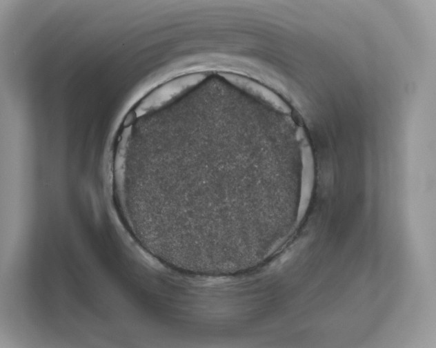 X0000111491522200908041132