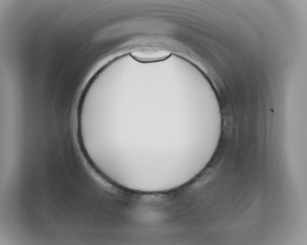 X0000111491523200908041132