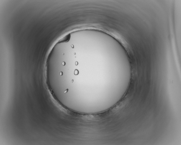 X0000111491524200908041132