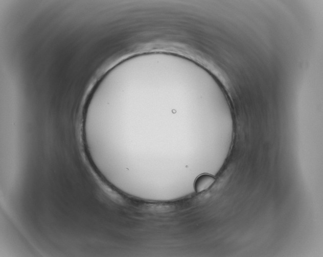 X0000111491525200908041132